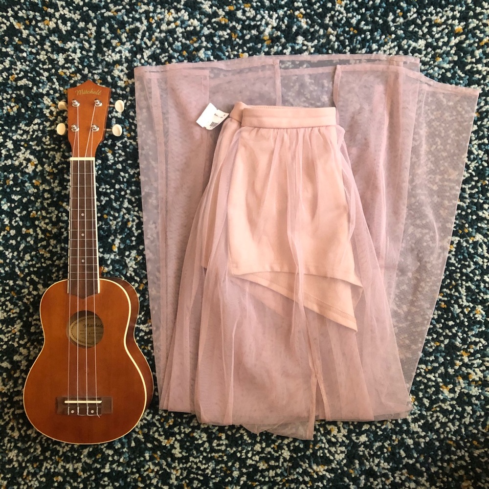 Pink Sheer Skirt